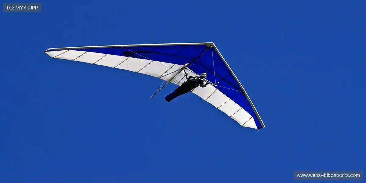 起跑线是弓,运动员是箭。✨ ✨